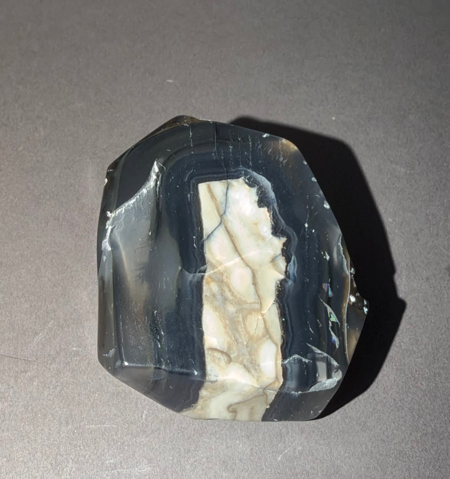 A polished natural stone or crystal with concentric bands of dark gray and black around the edges and a creamy off-white center with subtle beige veining, photographed on a plain gray surface.