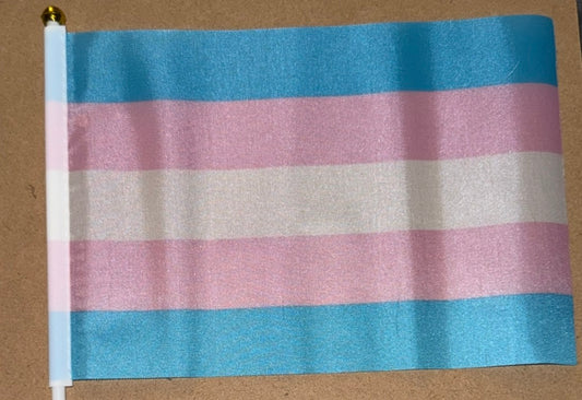 8x5 Inch Pride Flags