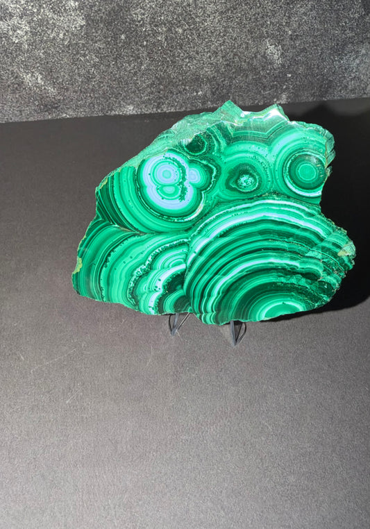 A polished green malachite crystal specimen with concentric banding, displayed on a small black stand against a dark gray background.