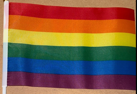 8x5 Inch Pride Flags