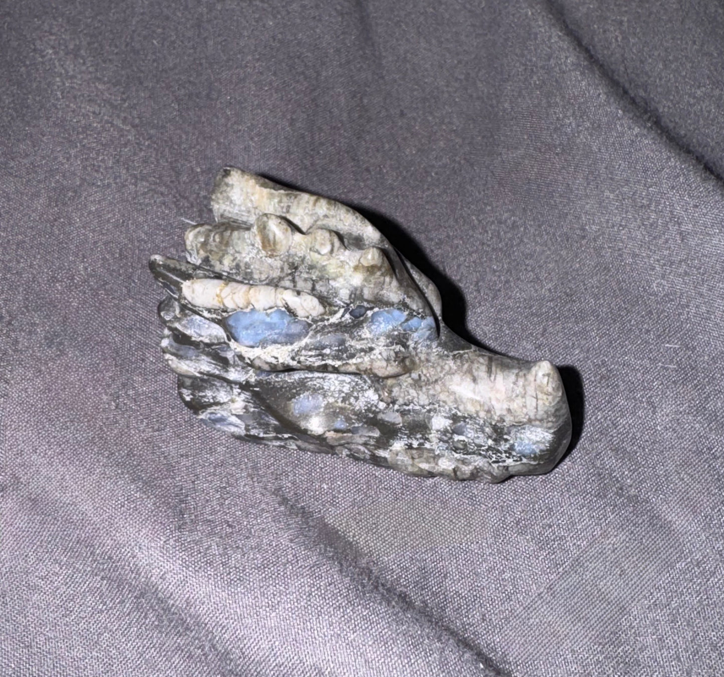 1 Inch Dragon Skulls