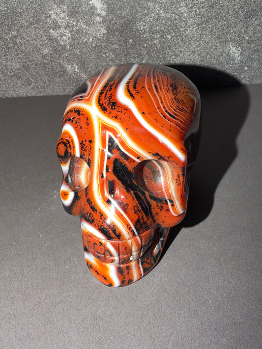 Flower Sardonyx Skull | Large Crystal Carving