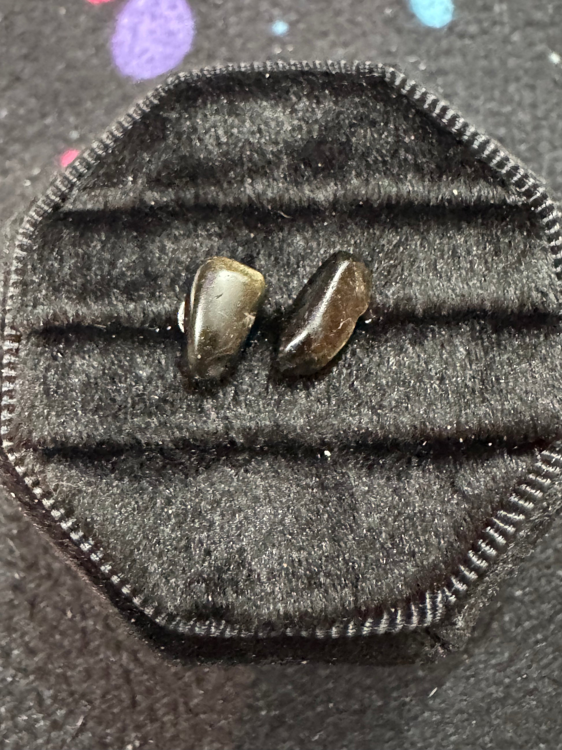 Golden Obsidian Earrings 