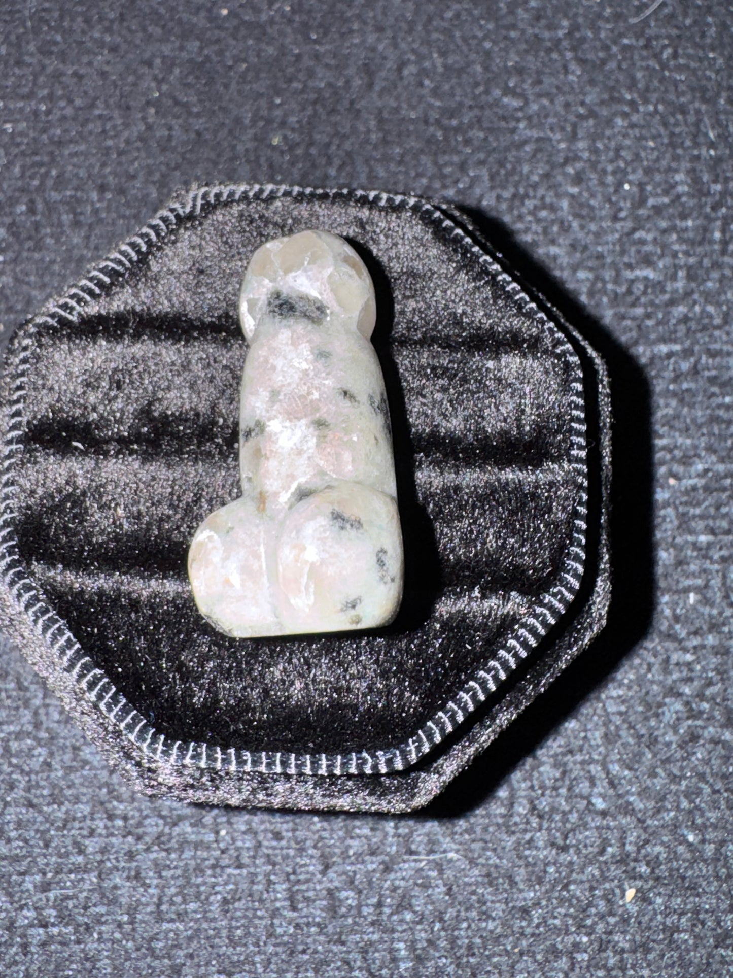 Kiwi Jasper pp 