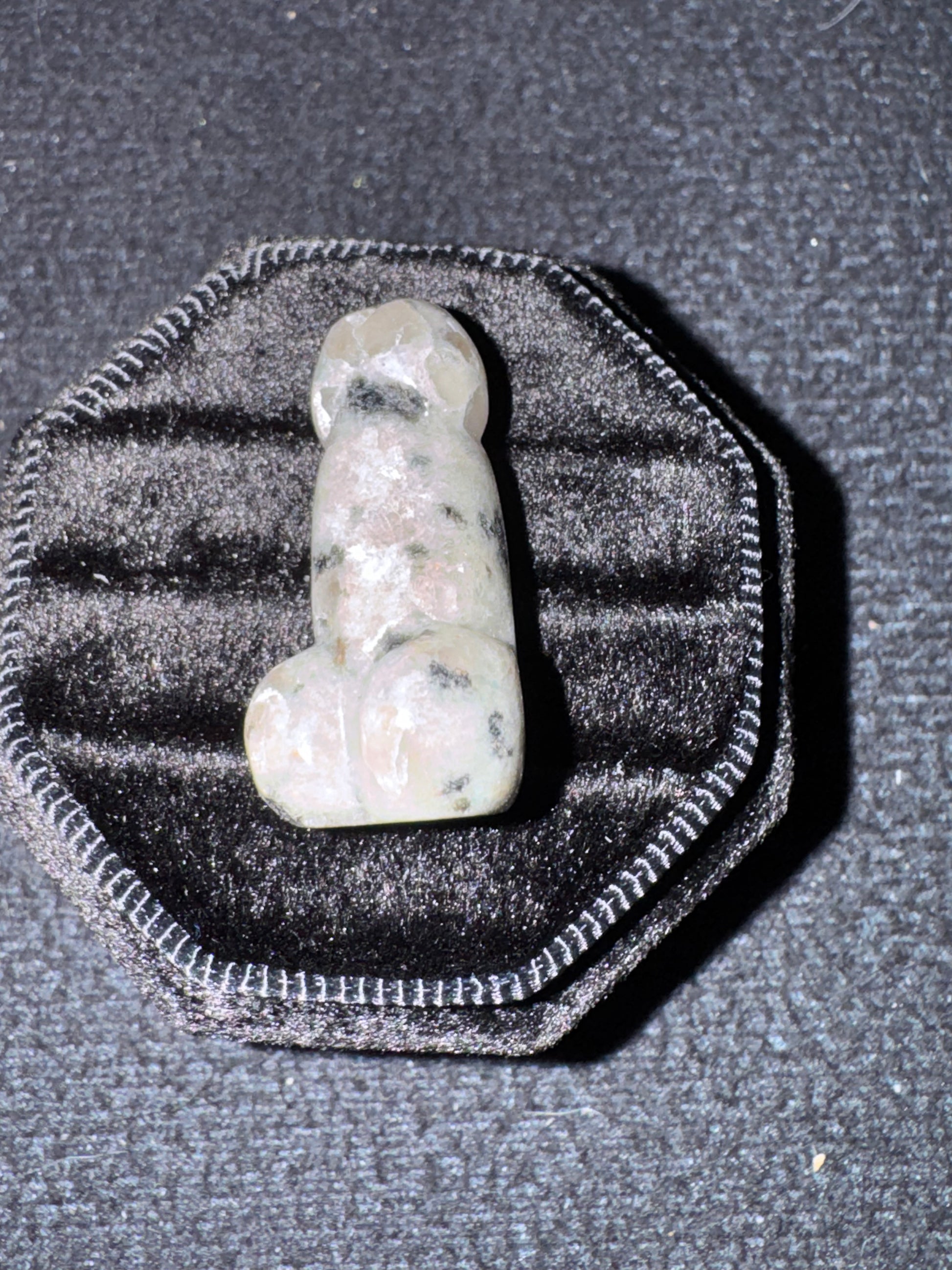 Kiwi Jasper pp 