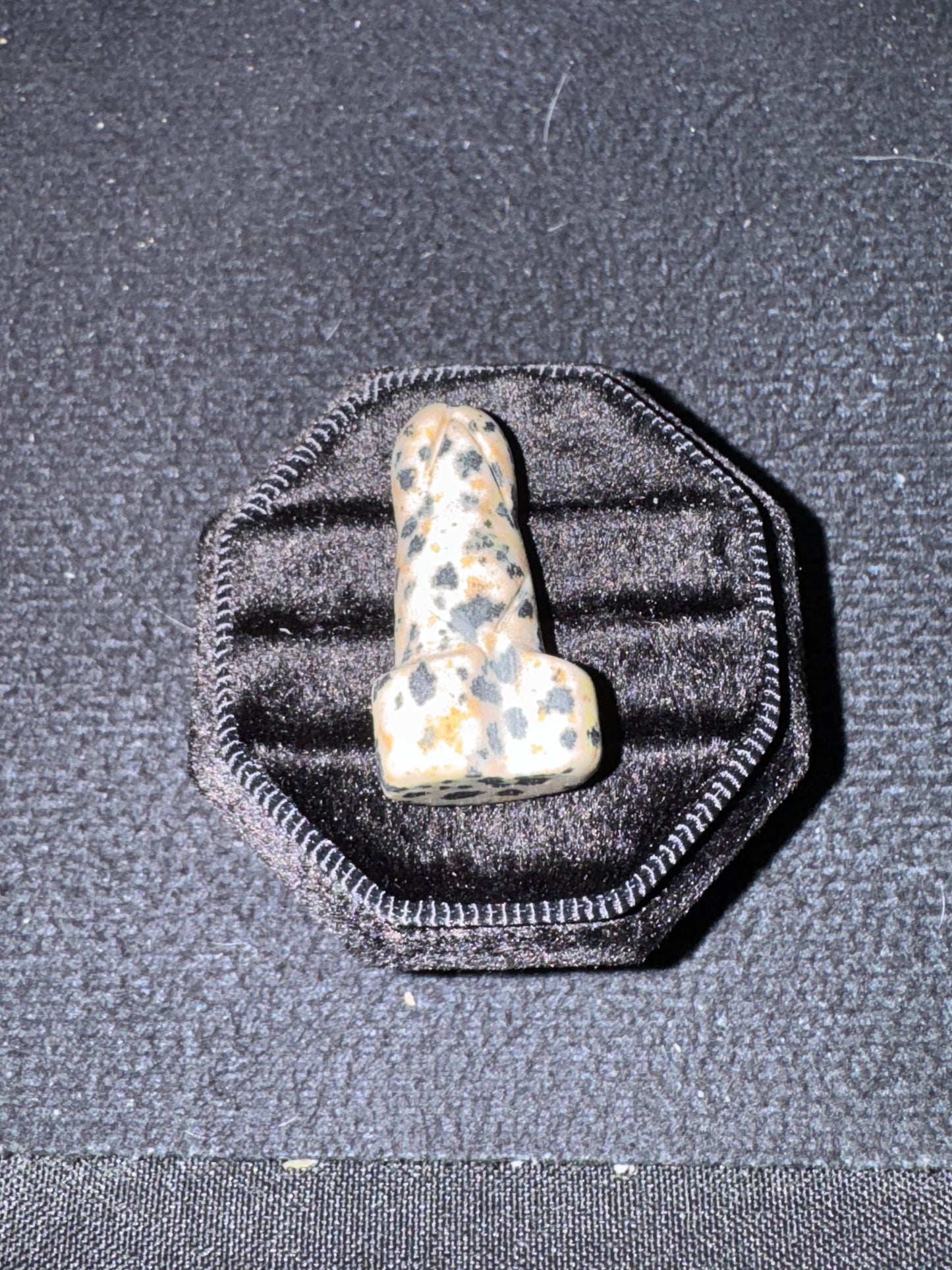 Dalmatian Jasper pp